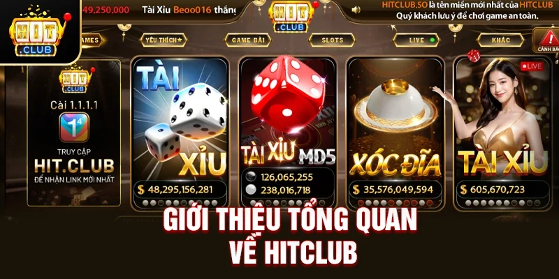 Giới thiệu tổng quan về Hitclub
