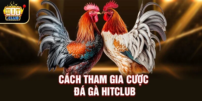 Đá Gà Hitclub – Trải Nghiệm Game Kịch Tính Chuẩn Quốc Tế