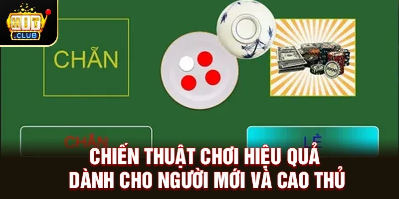 Chiến Thuật Chơi Hiệu Quả Dành Cho Người Mới Và Cao Thủ