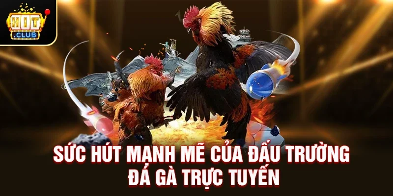 Sức Hút Mạnh Mẽ Của Đấu Trường Đá Gà Trực Tuyến
